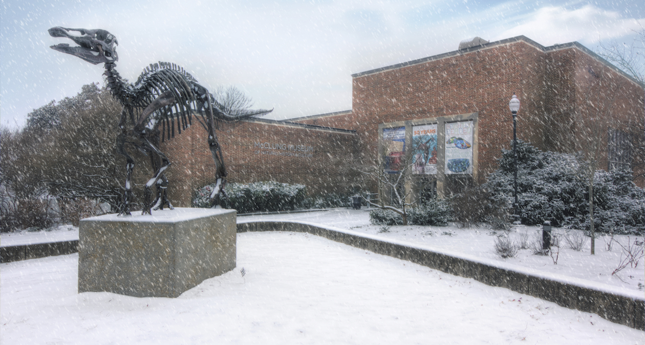 Monty Dinosaur in Snow