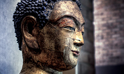 buddha - exhibits