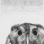 Karen Bondarchuk, My Name is Hubert and I am not an Owl