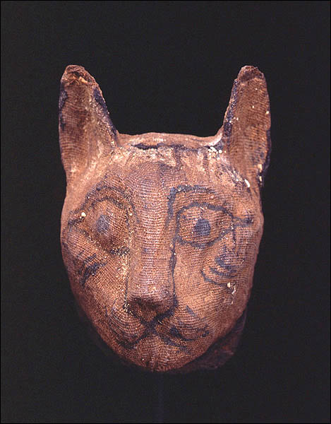 Mask From a Cat Mummy