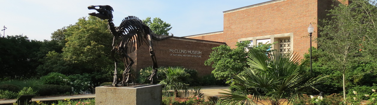 View of Front of Museum with Dino