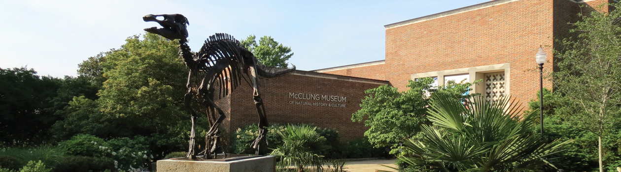 McClung Museum building