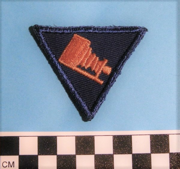 World War II badge worn by Photography Specialists in the US Army Air Force