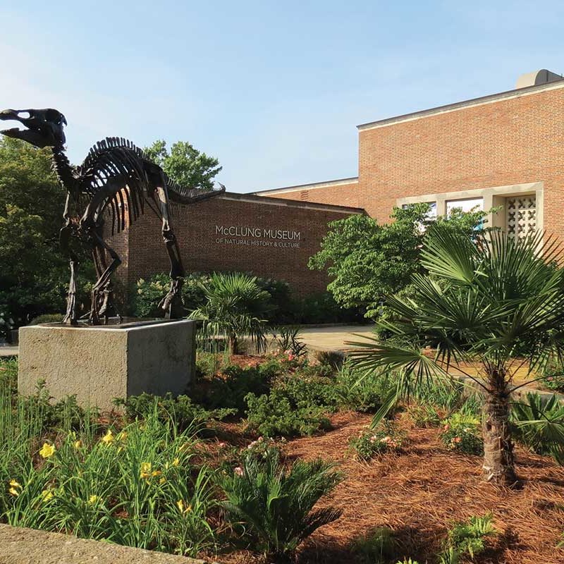 Exterior photo of the McClung Museum