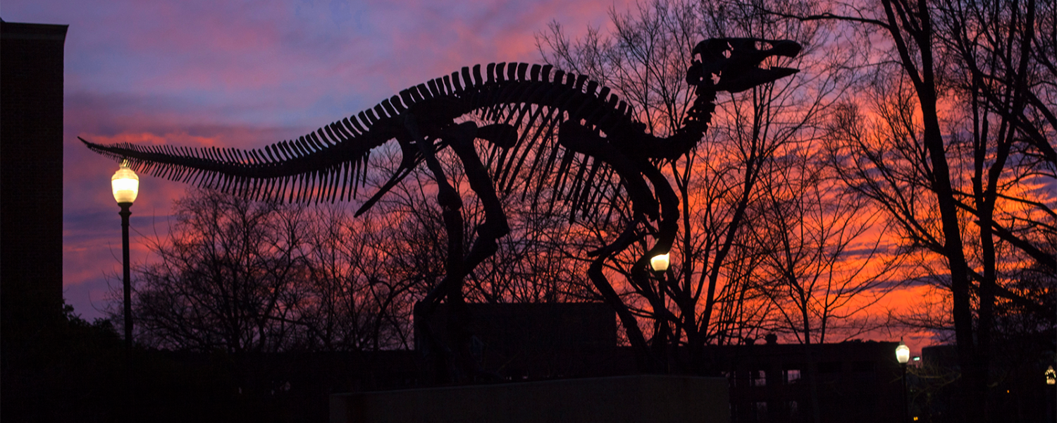 Monty the dinosaur in front of an orange and purple sunset
