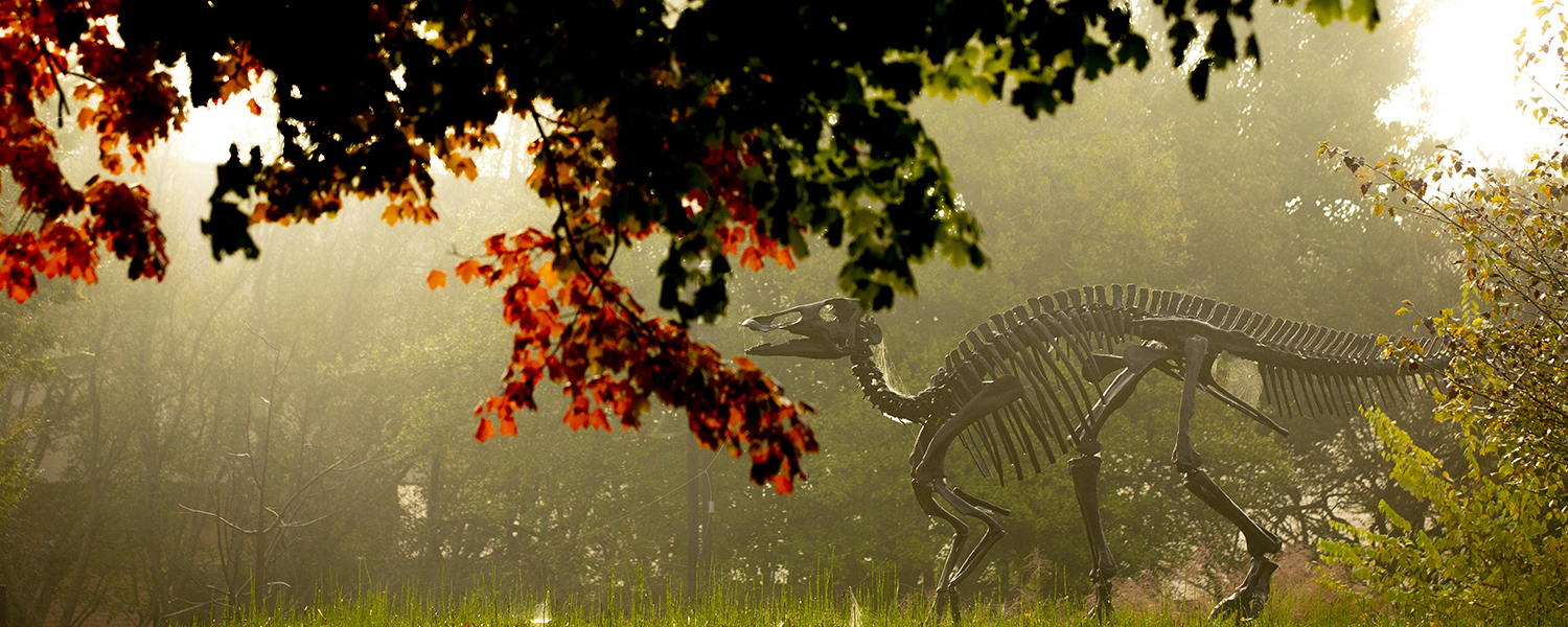 Dinosaur skeleton under tree