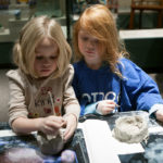 The McClung Museum offers a variety of on-site and off-site programs for preK–12 groups that meet the curriculum of Tennessee public schools. On-site, Off-site, and virtual options available.