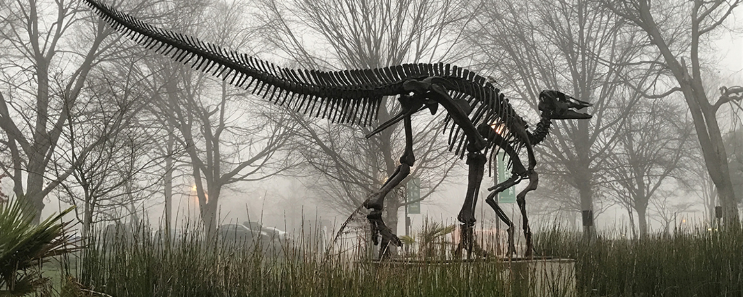 Photograph of Monty the Edmontasaurus in the fog.