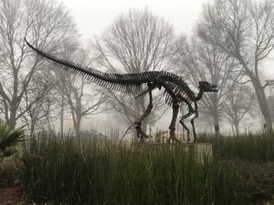 Photograph of Monty the Edmontasaurus in the fog.