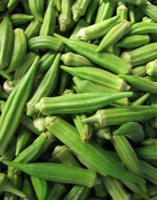 PlantOfTheMonth Okra McClung Museum of Natural History & Culture
