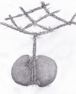 Example of weight attached to fishing net, illustrated by Larry Porter (Porter 2020)