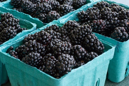 Figure 3. “Blackberries” by photofarmer (CC BY 2.0). 